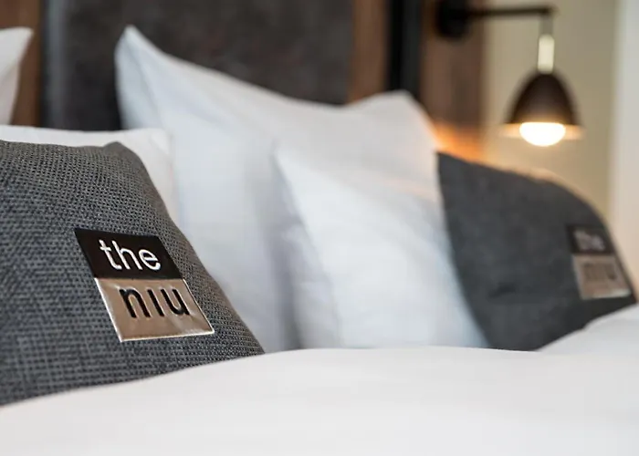 - The Niu, Saddle By Ihg 3*